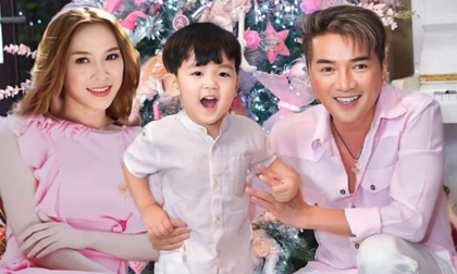 Đàm Vĩnh Hưng ghép hình của Mỹ Tâm vào khung ảnh hai cha con khiến fans ngỡ ngàng