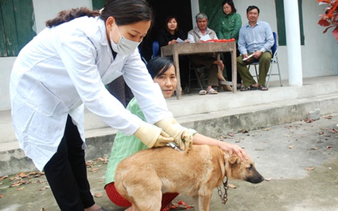 Thanh niên lên cơn dại sau khi bị chó lạ cắn 4 tháng - Ảnh 2. Thanh niên lên cơn dại sau khi bị chó lạ cắn 4 tháng - Ảnh 2.