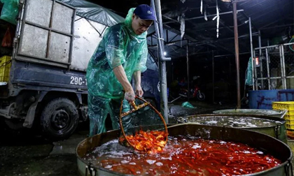 Chợ cá lớn nhất Hà Nội nhộn nhịp trước ngày đưa ông Công ông Táo về trời