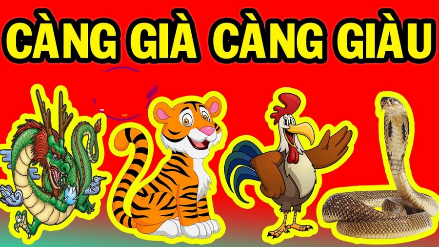 con-giap-cang-gia-cang-giau
