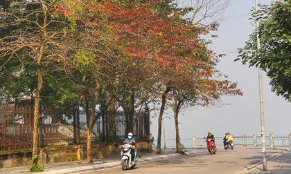 Không khí lạnh suy yếu, miền Bắc nắng ấm cả tuần