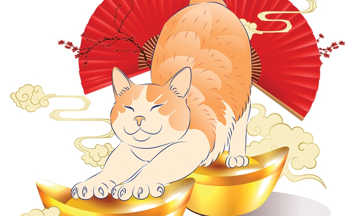 tuoi-mao