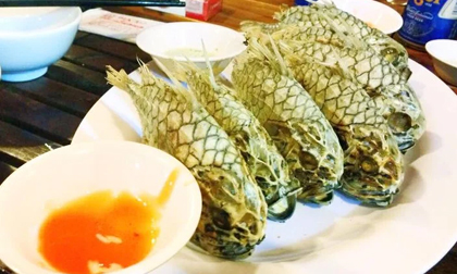 Loại cá xưa ít người biết, giờ là đặc sản nổi tiếng có giá 550.000 đồng/kg