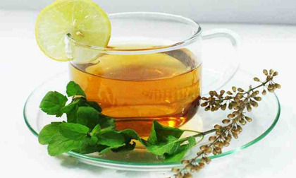 Loại cây được ví là ‘nữ hoàng thảo mộc’, lấy pha trà nhận cả loạt lợi ích: Rất quen với người Việt