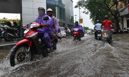 Bắc Bộ và nhiều khu vực khác sắp có mưa to đến rất to