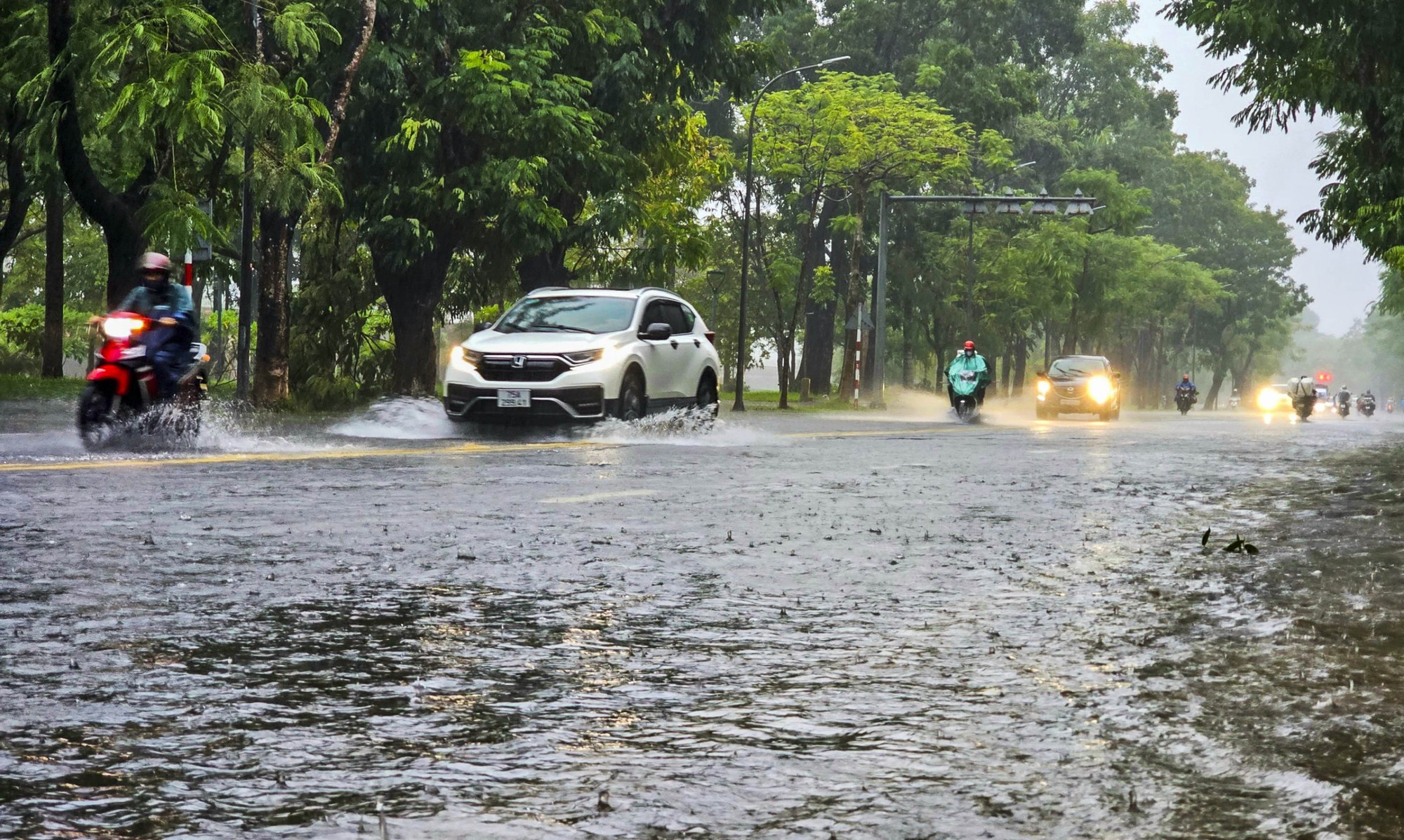 Người dân thành phố Huế Người dân thành phố Huế