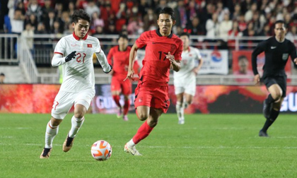 Đội tuyển Việt Nam bất ngờ tăng bậc trên BXH FIFA, đạt vị trí cao nhất trong vòng 2 năm
