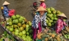 Lonely Planet giới thiệu hành trình khám phá ẩm thực Việt Nam