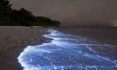 Giữa thiên đường Maldives tồn tại một bãi biển huyền ảo đến vô thực, được ví như dải Ngân hà