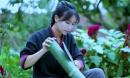 Lý Tử Thất chuẩn bị hầu toà: Phía sau hình ảnh tiên nữ đồng quê nhẹ nhàng là cuộc tranh chấp căng thẳng về tiền và lợi ích