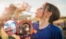 Loại nào tốt cho sức khỏe hơn, nước máy đun sôi hay mua nước đóng chai để uống? Câu trả lời thật bất ngờ