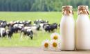 'From farm to glass' - triết lý mới dẫn đầu xu hướng sữa “trung thực” tại Việt Nam