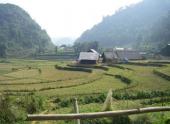 viet-nam-tuoi-dep-hon-hau-trong-mat-ban-be-quoc-te-76186.html