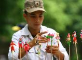 doc-dao-nghe-nan-chim-co-76508.html