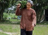 phim-tet-2012-hello-co-ba-dat-25-ty-trong-7-ngay-tet-76768.html