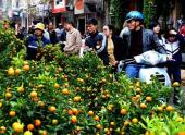 tet-am-lich-nam-nay-duoc-nghi-9-ngay-120353.html
