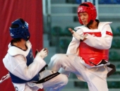 taekwondo-viet-nam-du-olympic-london-2012-cho-hai-qua-ngot-106655.html