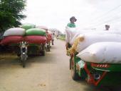 gao-viet-chay-sang-thai-lan-112588.html
