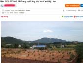 dua-nhau-an-theo-cuong-do-la-my-linh-de-ban-dat-134568.html