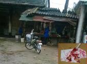 hoang-mang-thit-lon-do-nhu-mau-o-ha-tinh-164619.html