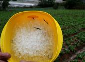 tran-mua-da-lich-su-trut-xuong-chan-nui-lang-biang-180707.html
