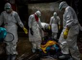 nhung-buc-anh-dau-buon-ve-dich-ebola-185265.html