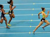 the-thao-viet-nam-sau-asiad-17-hoc-cach-thua-nhan-that-bai-186384.html
