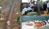 ac-mau-tuoi-doi-muoi-nhan-tam-sat-hai-con-moi-sinh-chi-vi-tinh-205200.html