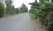 tinh-day-khong-manh-vai-che-than-co-gai-hoang-loan-cau-cuu-210503.html