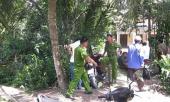 kinh-hoang-con-re-dam-chet-me-vo-giua-vuon-chuoi-213686.html