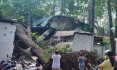 cay-co-thu-bat-ngo-do-sap-2-nguoi-chet-tham-216322.html