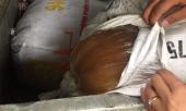 gan-10-tan-mo-ban-suyt-dau-doc-nguoi-tieu-dung-ha-noi-225473.html