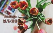 thu-bay-cua-ban-285-bao-binh-co-tin-vui-tai-chinh-227825.html