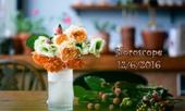 chu-nhat-cua-ban-126-song-tu-cho-ket-luan-voi-vang-228569.html