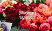 tu-vi-thu-bay-167-ma-ket-dung-mai-u-ru-230250.html