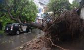 dap-cua-bo-cuu-con-gai-thoat-khoi-xe-bi-cay-co-thu-do-trung-230890.html