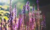 tu-vi-chu-nhat-218-bao-binh-dung-tu-choi-qua-phu-231895.html