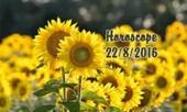 tu-vi-thu-hai-228-bo-cap-hoa-dong-voi-moi-nguoi-231934.html