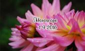 tu-vi-thu-nam-19-nhan-ma-va-nguoi-than-co-mau-thuan-232324.html