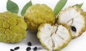 loai-qua-ngua-ung-thu-hieu-qua-nhat-ma-nhieu-nguoi-dang-tho-o-232685.html
