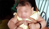 tphcm-chinh-thuc-cong-bo-dich-zika-234649.html