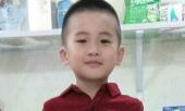 be-trai-mat-tich-o-quang-binh-bi-sat-hai-tham-tu-hien-ke-truy-tim-hung-thu-270583.html