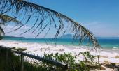 o-nha-trang-co-mot-bai-bien-dep-than-sau-chang-kem-gi-hawai-281629.html