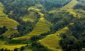 ve-dep-me-hon-cua-mua-vang-tay-bac-khien-ai-cung-muon-xach-may-anh-len-va-di-311322.html
