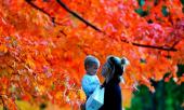 me-man-ngam-nhung-mua-cay-thay-la-long-lanh-nhat-the-gioi-313995.html