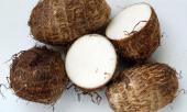 tuy-xau-xi-re-beo-nhung-khoai-so-lai-duoc-vi-voi-nhan-sam-ve-su-bo-duong-313930.html