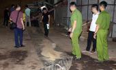 nam-cong-nhan-chet-bat-thuong-dau-bi-mop-dut-canh-tay-317508.html