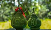 dac-san-tet-chay-hang-buoi-ho-lo-tai-loc-gia-5-trieu-dongcap-322568.html