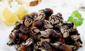 trong-gom-ghiec-nhu-ngon-tay-quy-ai-ngo-ban-4-trieukg-335718.html