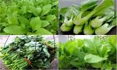 10-sieu-thuc-pham-giup-thanh-loc-phoi-tot-nhat-ai-cung-nen-an-moi-ngay-340422.html